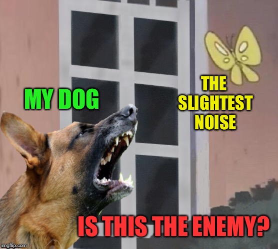 MY DOG IS THIS THE ENEMY? THE SLIGHTEST NOISE | made w/ Imgflip meme maker