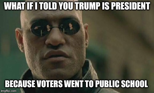 Matrix Morpheus Meme | WHAT IF I TOLD YOU TRUMP IS PRESIDENT BECAUSE VOTERS WENT TO PUBLIC SCHOOL | image tagged in memes,matrix morpheus | made w/ Imgflip meme maker