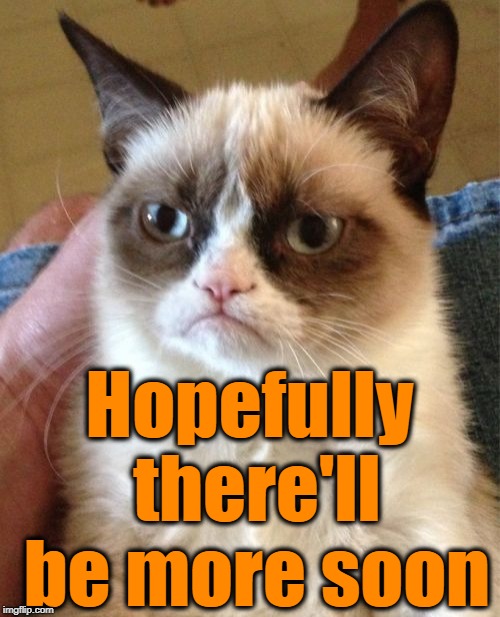 Grumpy Cat Meme | Hopefully there'll be more soon | image tagged in memes,grumpy cat | made w/ Imgflip meme maker