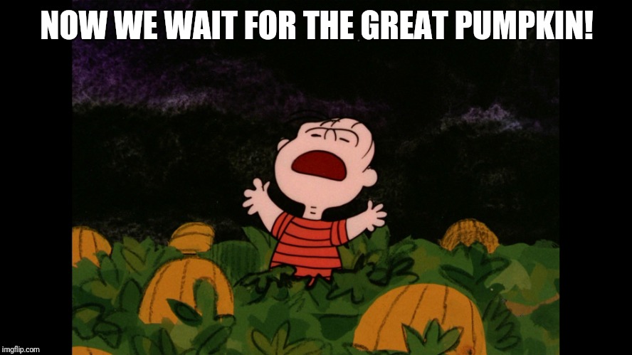 Great Pumpkin | NOW WE WAIT FOR THE GREAT PUMPKIN! | image tagged in great pumpkin | made w/ Imgflip meme maker