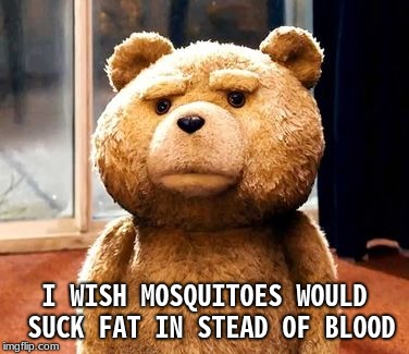TED |  I WISH MOSQUITOES WOULD SUCK FAT IN STEAD OF BLOOD | image tagged in memes,ted | made w/ Imgflip meme maker