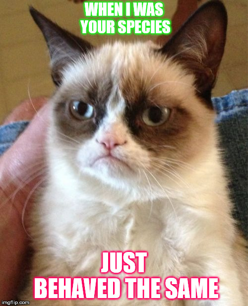 Grumpy Cat Meme | WHEN I WAS YOUR SPECIES; JUST BEHAVED THE SAME | image tagged in memes,grumpy cat | made w/ Imgflip meme maker