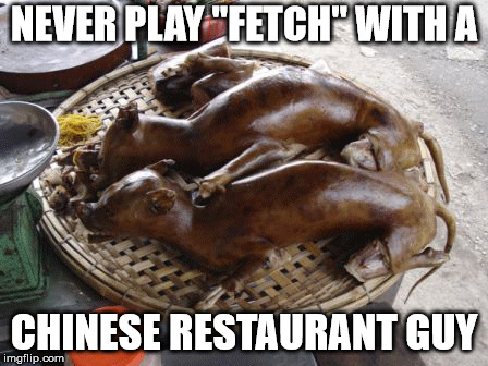 NEVER PLAY "FETCH" WITH A; CHINESE RESTAURANT GUY | made w/ Imgflip meme maker