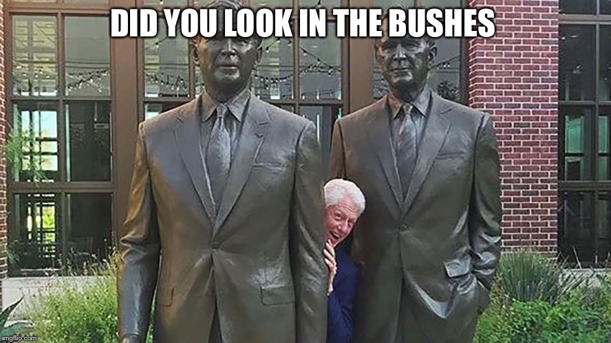 DID YOU LOOK IN THE BUSHES | made w/ Imgflip meme maker