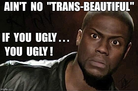 "TRANS-BEAUTIFUL" ?? | AIN'T  NO  "TRANS-BEAUTIFUL"; IF  YOU  UGLY . . . YOU  UGLY ! | image tagged in memes,kevin hart,trans | made w/ Imgflip meme maker