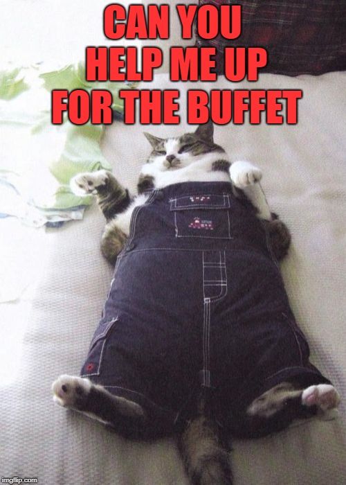 Fat Cat | CAN YOU HELP ME UP FOR THE BUFFET | image tagged in memes,fat cat | made w/ Imgflip meme maker