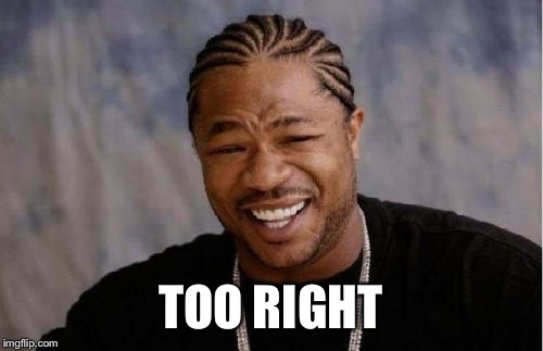 Yo Dawg Heard You Meme | TOO RIGHT | image tagged in memes,yo dawg heard you | made w/ Imgflip meme maker