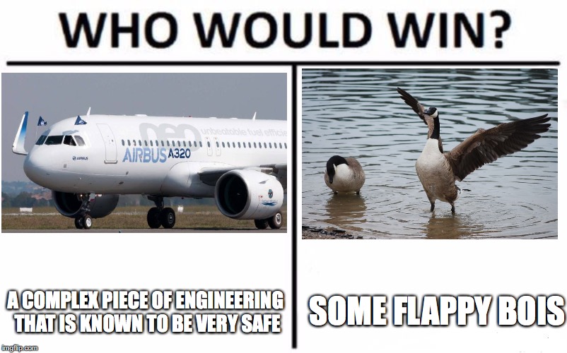 Who Would Win? | SOME FLAPPY BOIS; A COMPLEX PIECE OF ENGINEERING THAT IS KNOWN TO BE VERY SAFE | image tagged in memes,who would win,airplane,geese | made w/ Imgflip meme maker