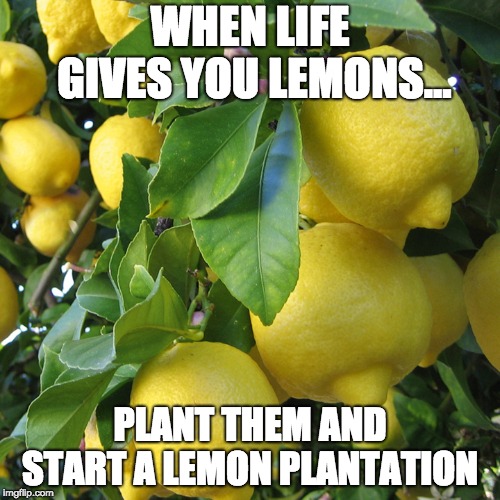 Lemons aren`t that bad | WHEN LIFE GIVES YOU LEMONS... PLANT THEM AND START A LEMON PLANTATION | image tagged in when life gives you lemons,memes | made w/ Imgflip meme maker