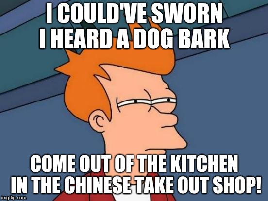 Futurama Fry Meme | I COULD'VE SWORN I HEARD A DOG BARK; COME OUT OF THE KITCHEN IN THE CHINESE TAKE OUT SHOP! | image tagged in memes,futurama fry | made w/ Imgflip meme maker