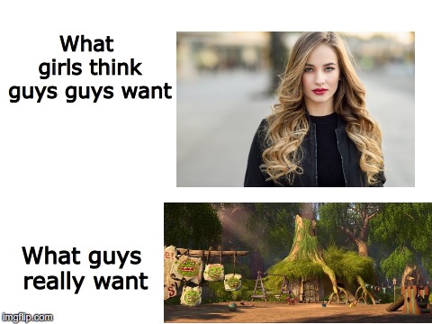 Blank White Template | What girls think guys guys want; What guys really want | image tagged in blank white template | made w/ Imgflip meme maker