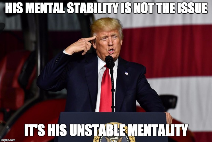Unstable Mentality | HIS MENTAL STABILITY IS NOT THE ISSUE; IT'S HIS UNSTABLE MENTALITY | image tagged in drumpf,trump,memes,unstable  genius | made w/ Imgflip meme maker