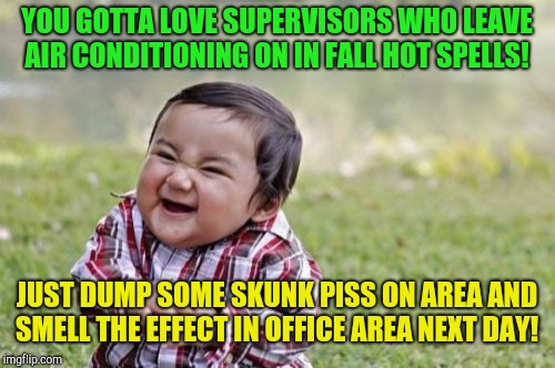 Skunk piss!  It's not just for hunting!  | YOU GOTTA LOVE SUPERVISORS WHO LEAVE AIR CONDITIONING ON IN FALL HOT SPELLS! JUST DUMP SOME SKUNK PISS ON AREA AND SMELL THE EFFECT IN OFFICE AREA NEXT DAY! | image tagged in memes,evil toddler,office space,pranks | made w/ Imgflip meme maker