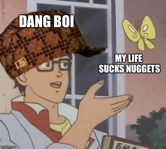 Nuggets  | DANG BOI; MY LIFE SUCKS NUGGETS | image tagged in mcjuggernuggets | made w/ Imgflip meme maker