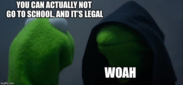 Evil Kermit | YOU CAN ACTUALLY NOT GO TO SCHOOL, AND IT’S LEGAL; WOAH | image tagged in memes,evil kermit | made w/ Imgflip meme maker