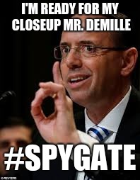 Rod Rosenstein | I'M READY FOR MY CLOSEUP MR. DEMILLE; #SPYGATE | image tagged in rod rosenstein | made w/ Imgflip meme maker