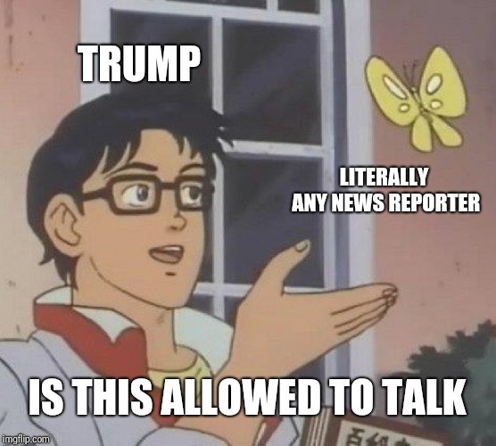 Is This A Pigeon Meme | TRUMP; LITERALLY ANY NEWS REPORTER; IS THIS ALLOWED TO TALK | image tagged in memes,is this a pigeon | made w/ Imgflip meme maker