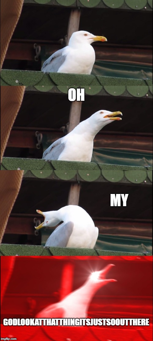 Inhaling Seagull Meme | OH; MY; GODLOOKATTHATTHINGITSJUSTSOOUTTHERE | image tagged in memes,inhaling seagull | made w/ Imgflip meme maker