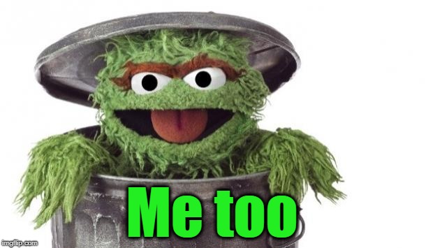 Oscar trashcan Sesame street | Me too | image tagged in oscar trashcan sesame street | made w/ Imgflip meme maker