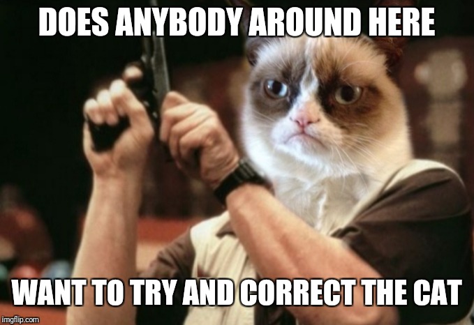 Grumpy cat | DOES ANYBODY AROUND HERE WANT TO TRY AND CORRECT THE CAT | image tagged in grumpy cat | made w/ Imgflip meme maker