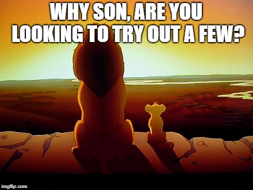 Lion King Meme | WHY SON, ARE YOU LOOKING TO TRY OUT A FEW? | image tagged in memes,lion king | made w/ Imgflip meme maker