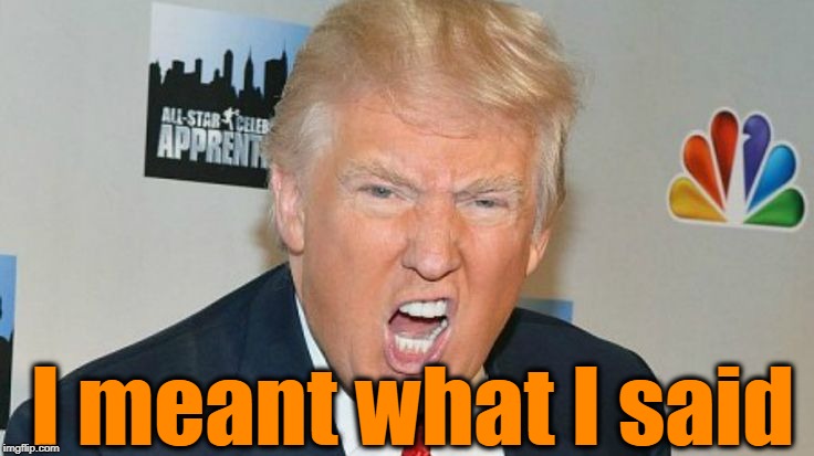 I meant what I said | image tagged in trump mad | made w/ Imgflip meme maker