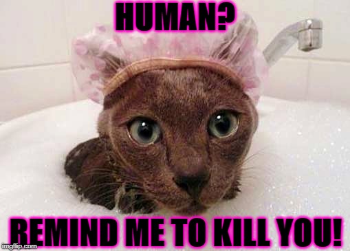 HUMAN? REMIND ME TO KILL YOU! | image tagged in kill you | made w/ Imgflip meme maker
