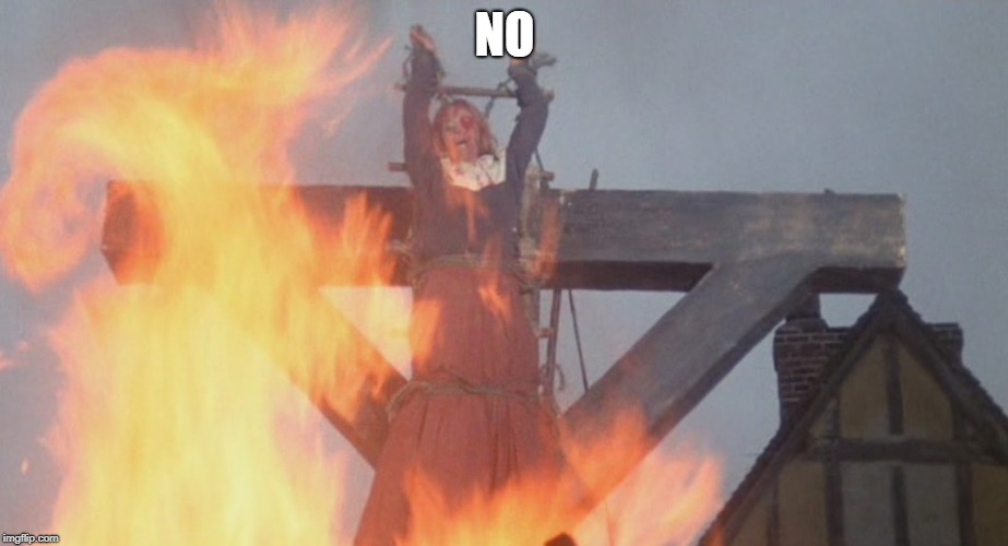 burn witch | NO | image tagged in burn witch | made w/ Imgflip meme maker
