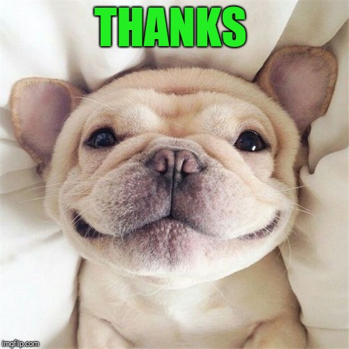 Smiling puppy | THANKS | image tagged in smiling puppy | made w/ Imgflip meme maker