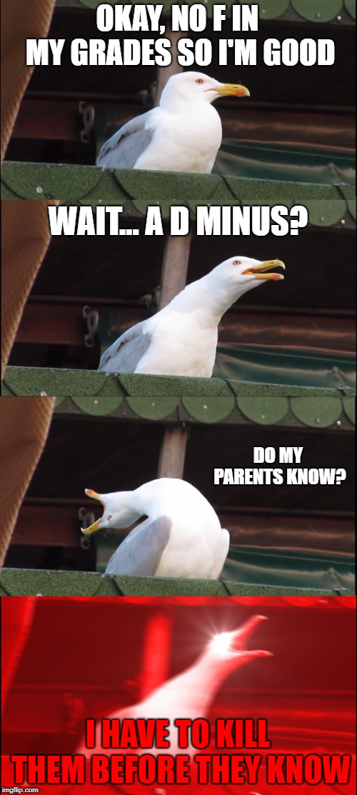 GRades
 |  OKAY, NO F IN MY GRADES SO I'M GOOD; WAIT... A D MINUS? DO MY PARENTS KNOW? I HAVE TO KILL THEM BEFORE THEY KNOW | image tagged in memes,inhaling seagull | made w/ Imgflip meme maker