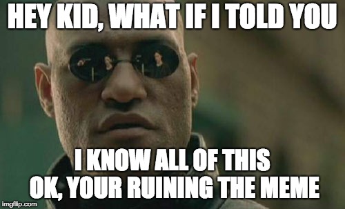 Matrix Morpheus Meme | HEY KID, WHAT IF I TOLD YOU I KNOW ALL OF THIS OK, YOUR RUINING THE MEME | image tagged in memes,matrix morpheus | made w/ Imgflip meme maker