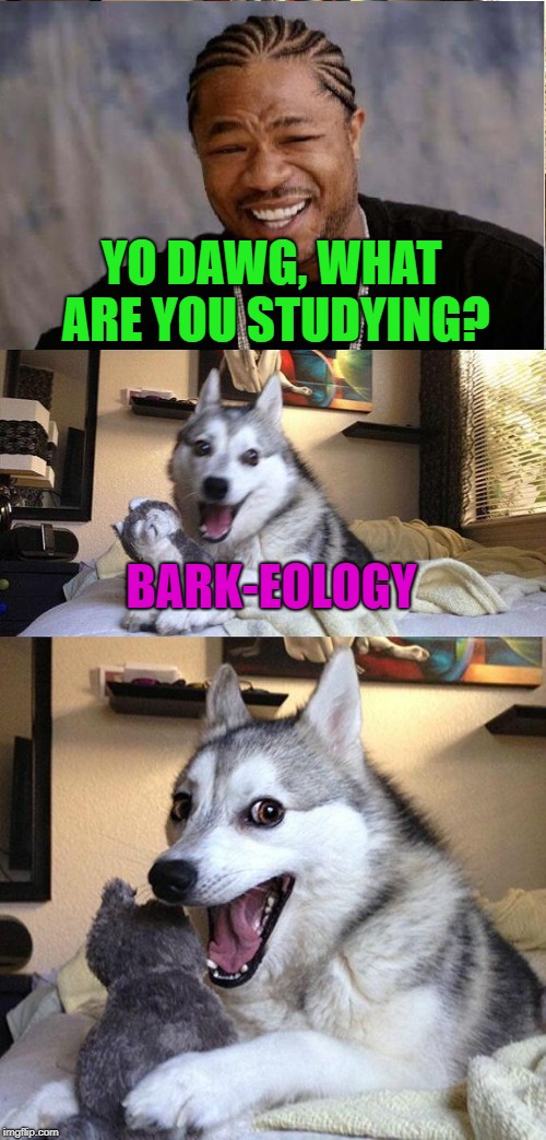 Y'all got any more of them puns? Yes... |  YO DAWG, WHAT ARE YOU STUDYING? BARK-EOLOGY | image tagged in memes,bad pun dog | made w/ Imgflip meme maker