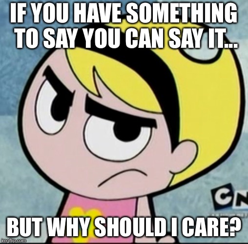 Mandy’s Words That Take Thought | IF YOU HAVE SOMETHING TO SAY YOU CAN SAY IT... BUT WHY SHOULD I CARE? | image tagged in memes | made w/ Imgflip meme maker