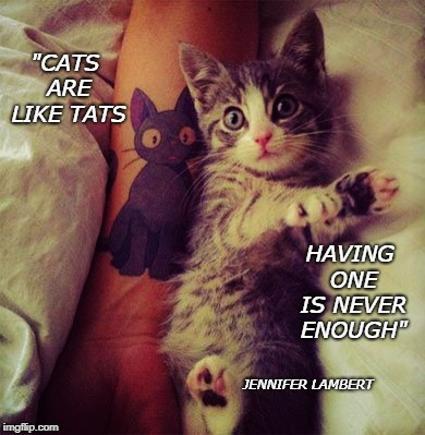 Cats and tats | "CATS ARE LIKE TATS; HAVING ONE IS NEVER ENOUGH"; JENNIFER LAMBERT | image tagged in cats,tattoos,cute cat | made w/ Imgflip meme maker