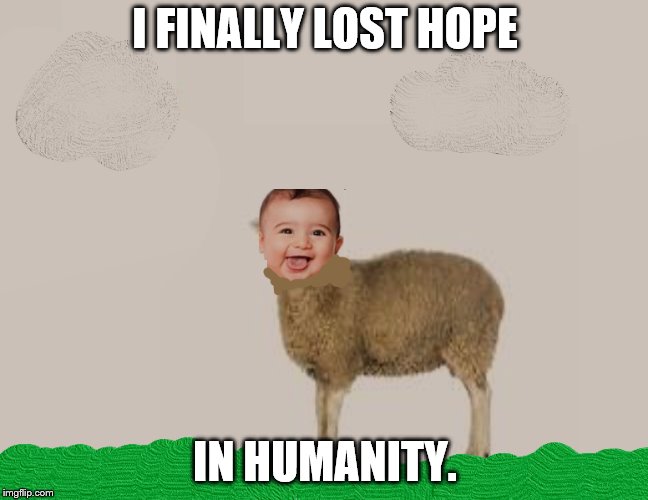 losing hope. | I FINALLY LOST HOPE; IN HUMANITY. | image tagged in sheep,meme,baby,lost hope,memes,funny | made w/ Imgflip meme maker