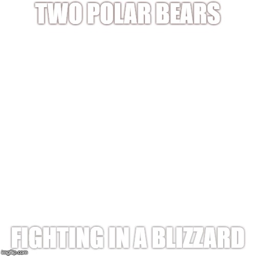 Its pretty cool but my camera got snow all over it | TWO POLAR BEARS; FIGHTING IN A BLIZZARD | image tagged in memes,polar bear,white | made w/ Imgflip meme maker