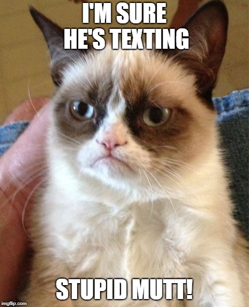 Grumpy Cat Meme | I'M SURE HE'S TEXTING STUPID MUTT! | image tagged in memes,grumpy cat | made w/ Imgflip meme maker