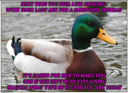 spreading advice like mayo | NEXT TIME YOU FEEL LIKE ARGUING WITH YOUR LADY ASK FOR A SANDWICH INSTEAD; IT'S EASIER FOR HER TO MAKE YOU ONE IF SHE ISN'T BUSY EXPLAINING EXACTLY WHAT TYPE OF STUPID YOU ARE TODAY | image tagged in memes,actual advice mallard | made w/ Imgflip meme maker