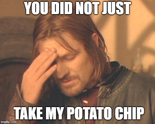 Frustrated Boromir Meme | YOU DID NOT JUST; TAKE MY POTATO CHIP | image tagged in memes,frustrated boromir | made w/ Imgflip meme maker