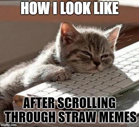 tired cat | HOW I LOOK LIKE; AFTER SCROLLING THROUGH STRAW MEMES | image tagged in tired cat | made w/ Imgflip meme maker