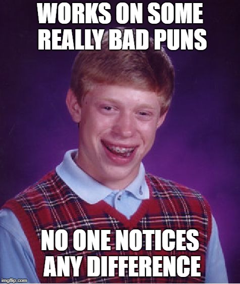 Bad Luck Brian Meme | WORKS ON SOME REALLY BAD PUNS NO ONE NOTICES ANY DIFFERENCE | image tagged in memes,bad luck brian | made w/ Imgflip meme maker