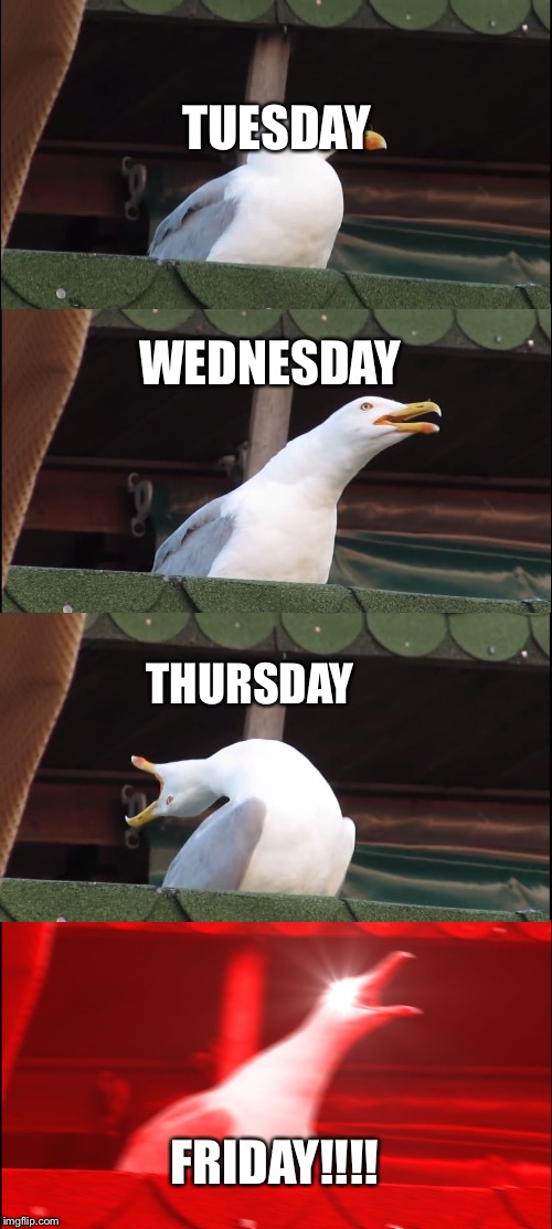 Inhaling Seagull Meme | TUESDAY; WEDNESDAY; THURSDAY; FRIDAY!!!! | image tagged in memes,inhaling seagull | made w/ Imgflip meme maker