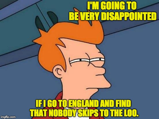Futurama Fry Meme | I'M GOING TO BE VERY DISAPPOINTED; IF I GO TO ENGLAND AND FIND THAT NOBODY SKIPS TO THE LOO. | image tagged in memes,futurama fry | made w/ Imgflip meme maker