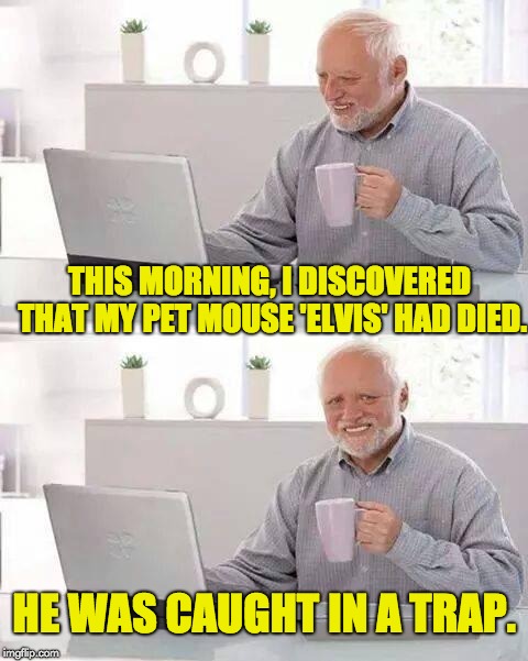 Elvis has left the building, and Harold is in heartbreak hotel. | THIS MORNING, I DISCOVERED THAT MY PET MOUSE 'ELVIS' HAD DIED. HE WAS CAUGHT IN A TRAP. | image tagged in memes,hide the pain harold | made w/ Imgflip meme maker