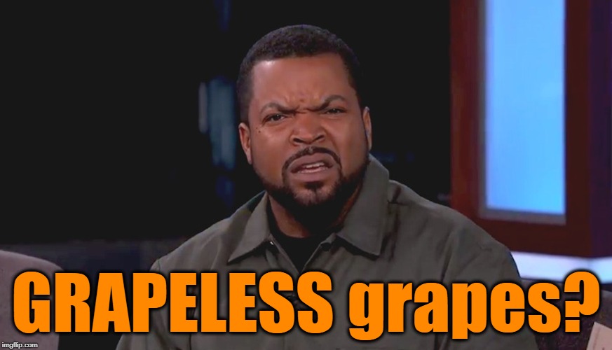 Really? Ice Cube | GRAPELESS grapes? | image tagged in really ice cube | made w/ Imgflip meme maker