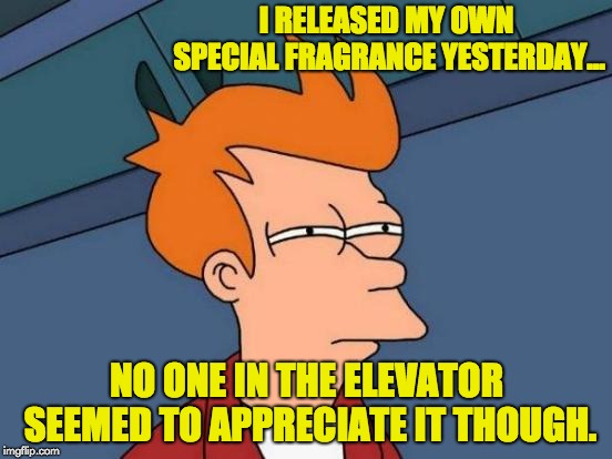 Futurama Fry Meme | I RELEASED MY OWN SPECIAL FRAGRANCE YESTERDAY... NO ONE IN THE ELEVATOR SEEMED TO APPRECIATE IT THOUGH. | image tagged in memes,futurama fry | made w/ Imgflip meme maker