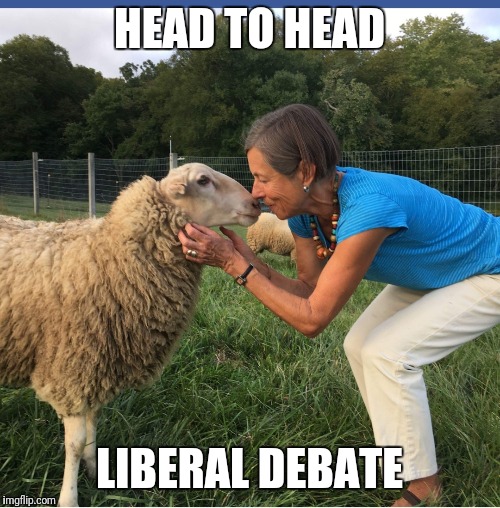  HEAD TO HEAD; LIBERAL DEBATE | image tagged in libtards,trump 2020,followers,november,pelosi | made w/ Imgflip meme maker