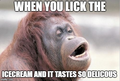 Monkey OOH Meme |  WHEN YOU LICK THE; ICECREAM AND IT TASTES SO DELICOUS | image tagged in memes,monkey ooh | made w/ Imgflip meme maker