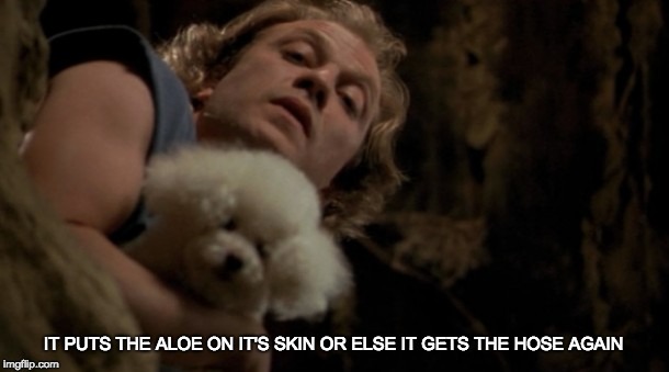 sunburn | IT PUTS THE ALOE ON IT'S SKIN
OR ELSE IT GETS THE HOSE AGAIN | image tagged in silence of the lambs lotion,aloe,sunburn | made w/ Imgflip meme maker