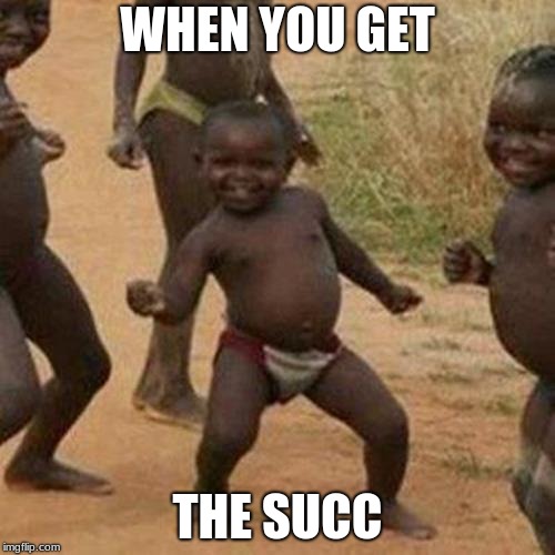 We all like the succ | WHEN YOU GET; THE SUCC | image tagged in memes,third world success kid | made w/ Imgflip meme maker